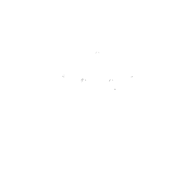 EIS